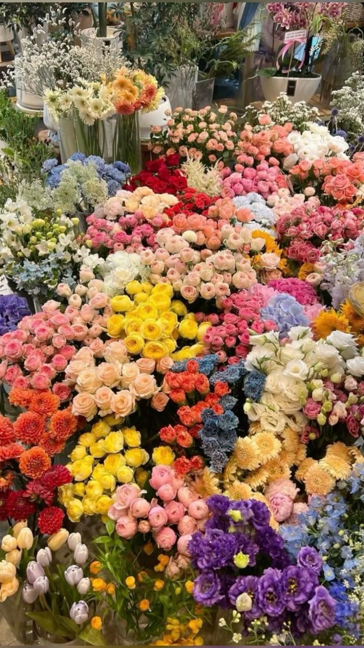 Enchanted Evening Blossom Array